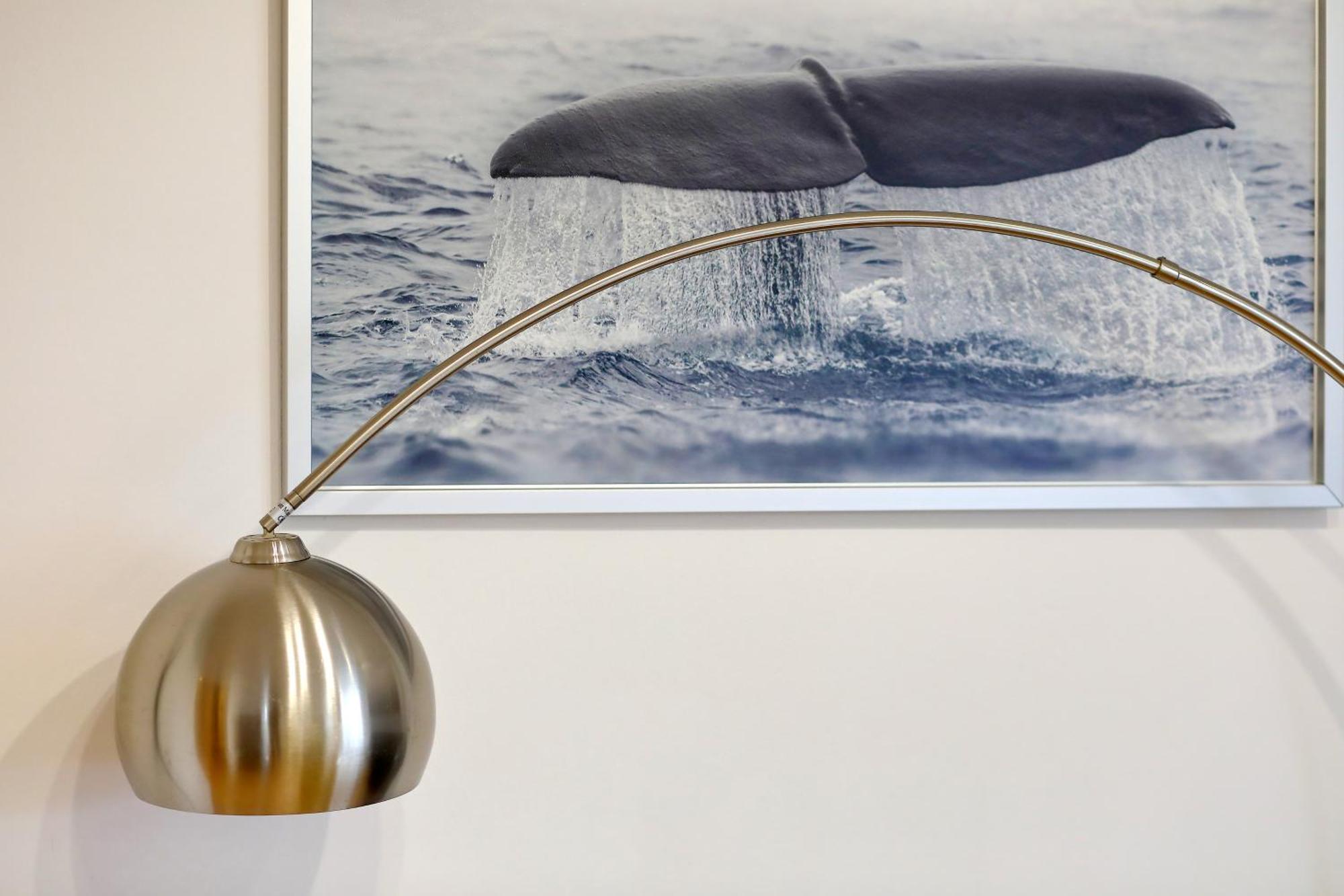 Apartman Tea Maraska Zadar Extérieur photo
